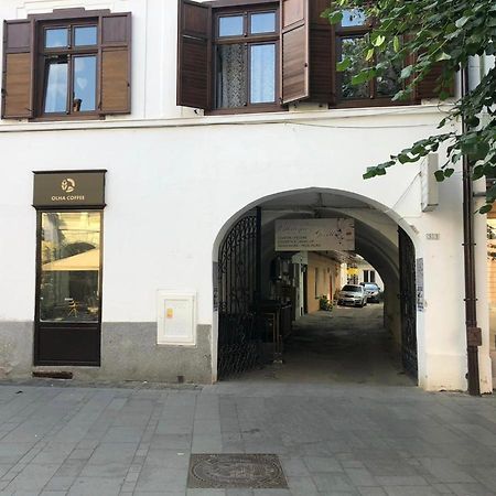 Gizell Apartment 1 Sibiu Ngoại thất bức ảnh